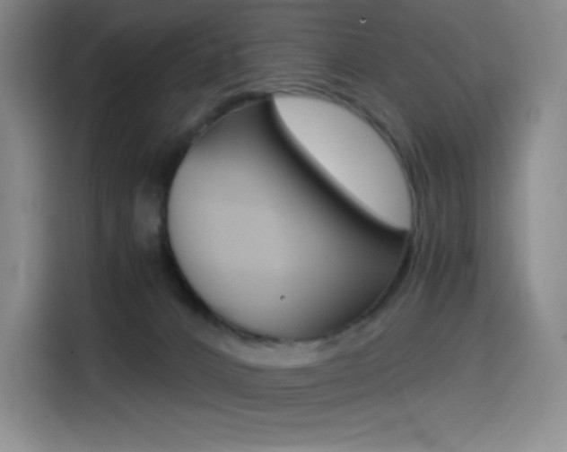 X0000114430032200910161041