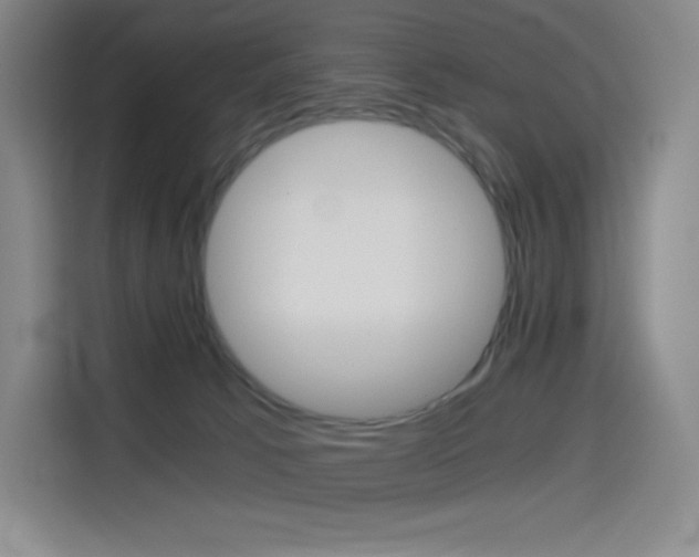 X0000114430033200910161041
