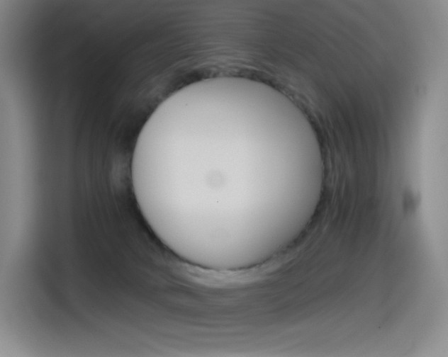 X0000114430034200910161041