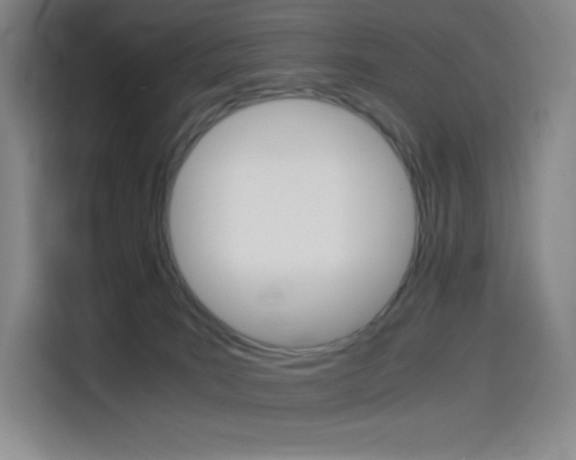 X0000114430035200910161041