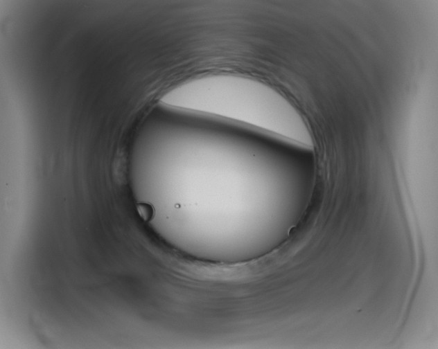 X0000114430036200910161041