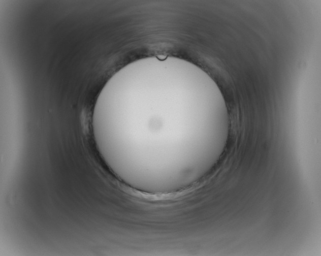 X0000114430038200910161041