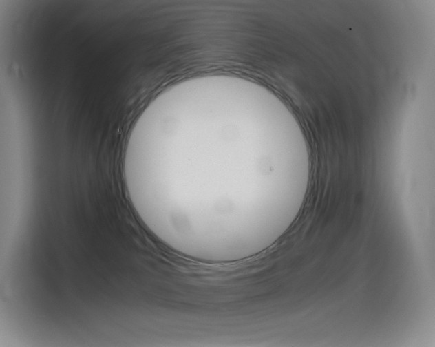 X0000114430039200910161041
