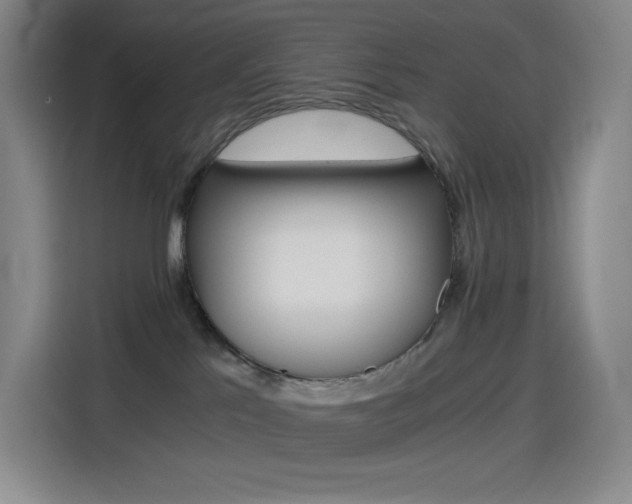 X0000114430041200910161041
