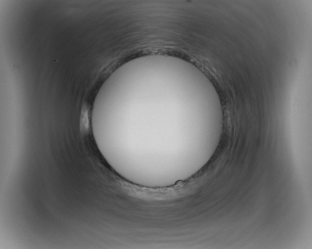 X0000114430042200910161041