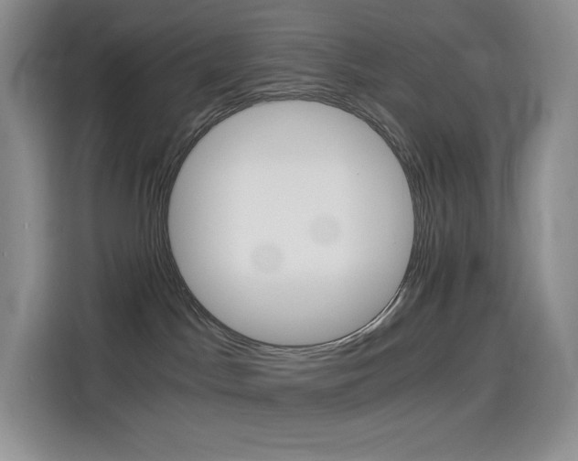 X0000114430045200910161041