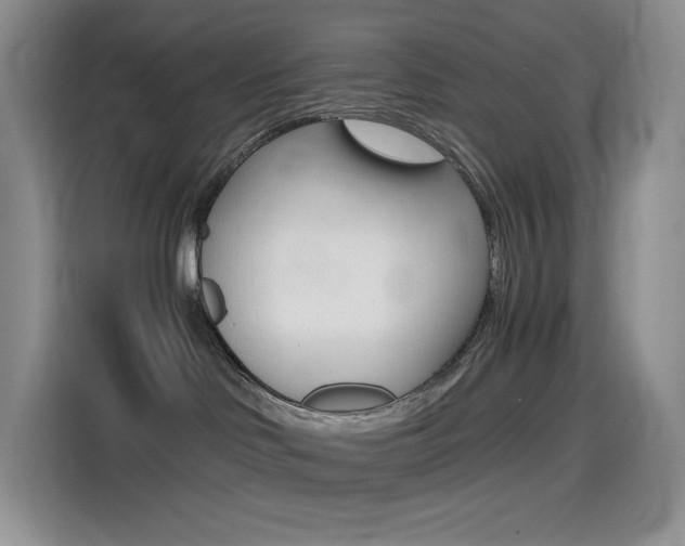 X0000114430046200910161041