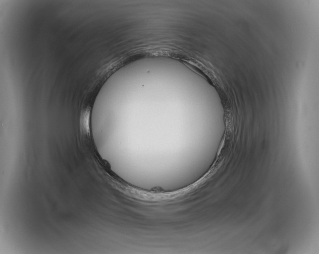 X0000114430047200910161041