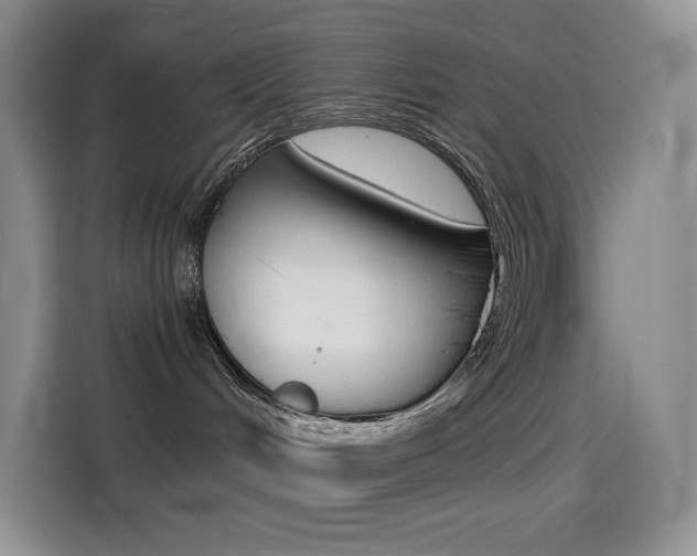 X0000114430048200910161041