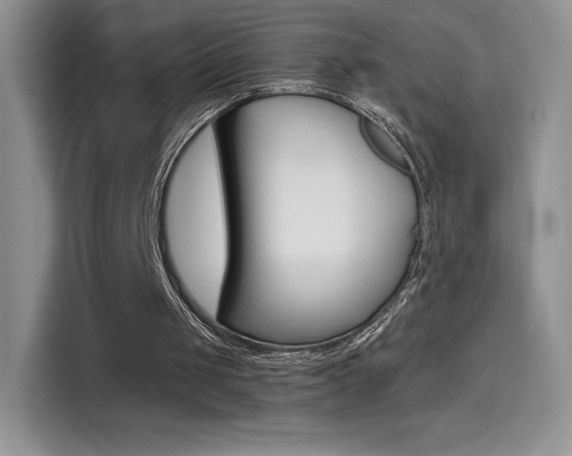 X0000114430049200910161040