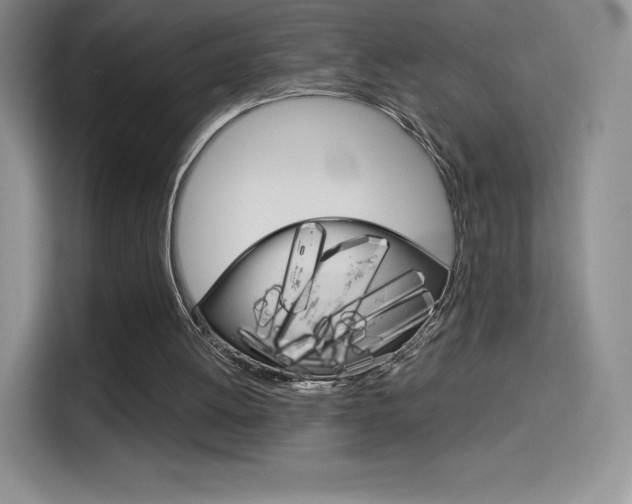 X0000114430052200910161040