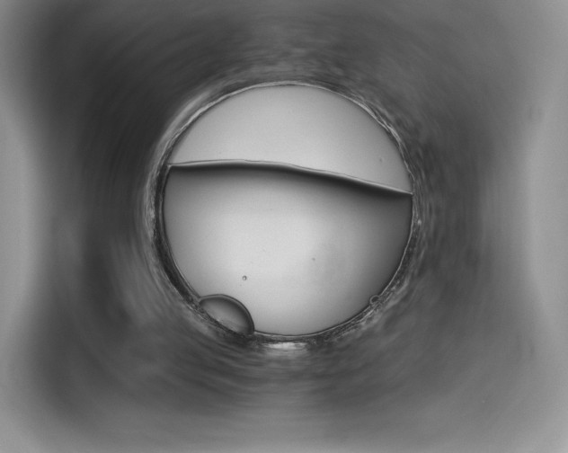 X0000114430053200910161040