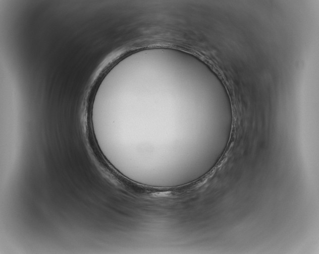X0000114430054200910161040