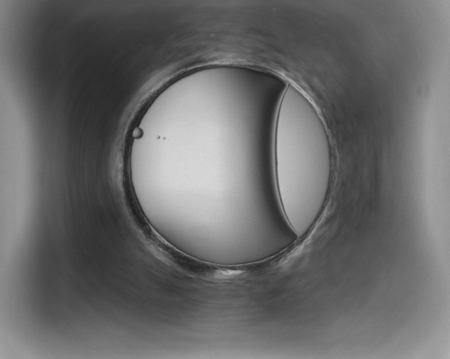 X0000114430055200910161040