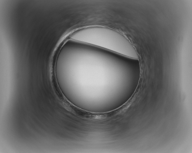 X0000114430056200910161040