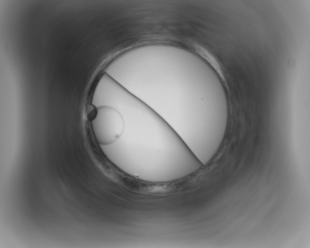 X0000114430059200910161040