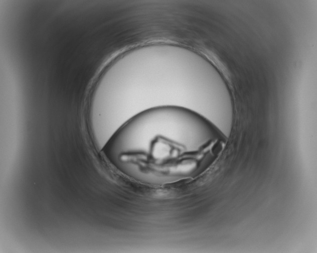 X0000114430060200910161040