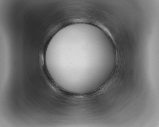 X0000114430061200910161040