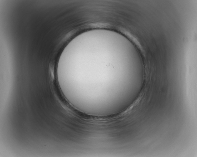 X0000114430062200910161040