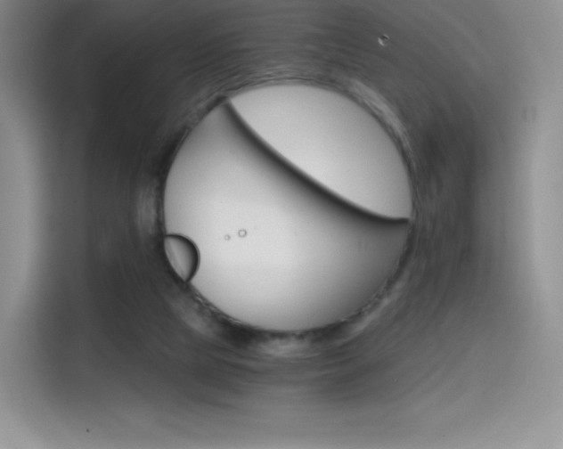 X0000114430065200910161040