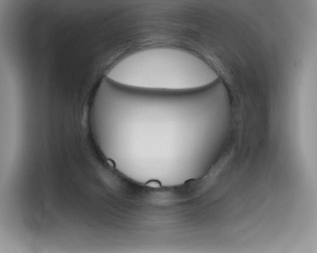 X0000114430066200910161040