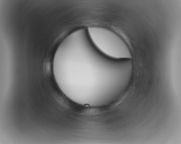 X0000114430067200910161040