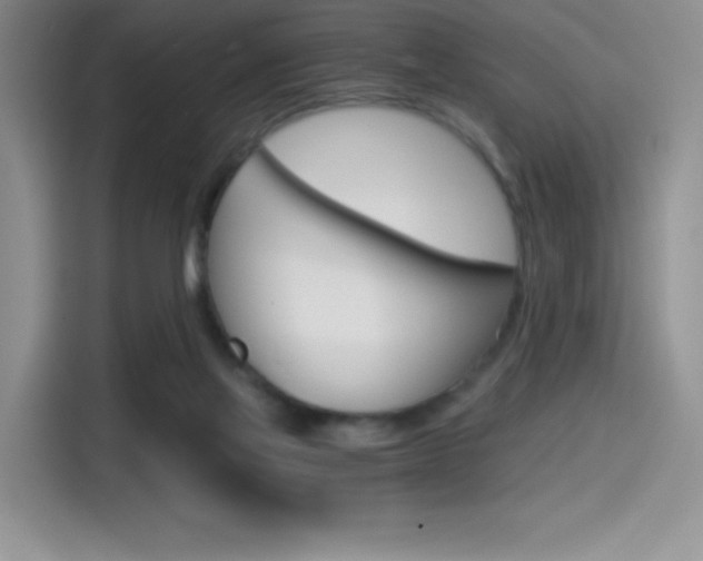 X0000114430069200910161040