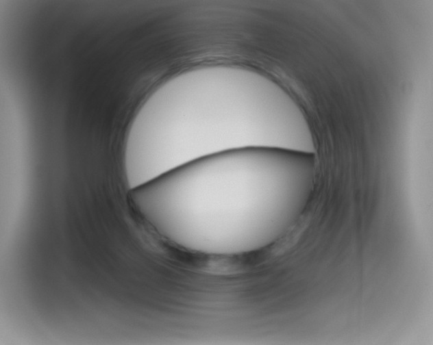 X0000114430070200910161040