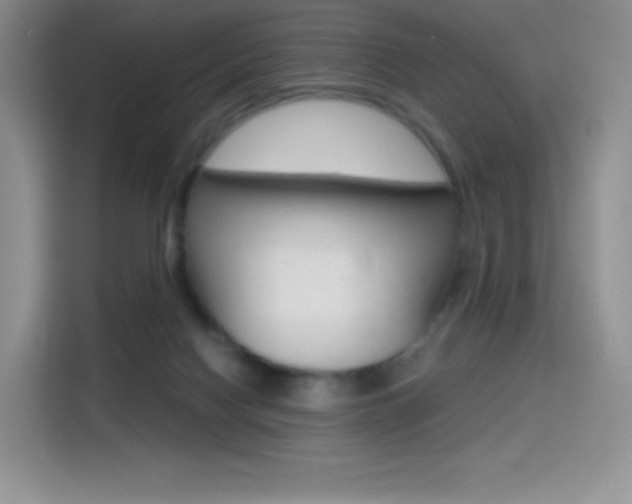 X0000114430074200910161040