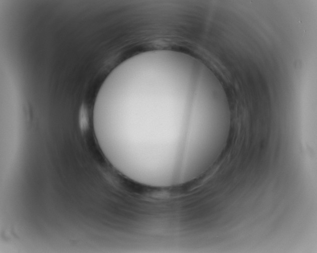 X0000114430075200910161040