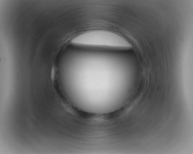 X0000114430076200910161040