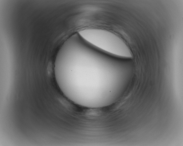 X0000114430077200910161040