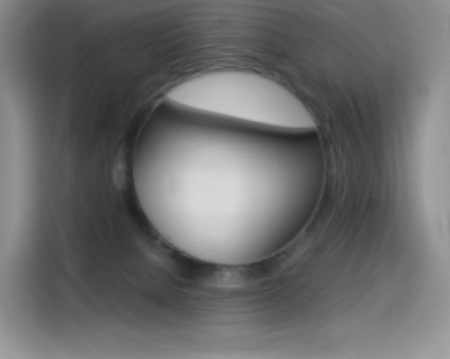 X0000114430080200910161040