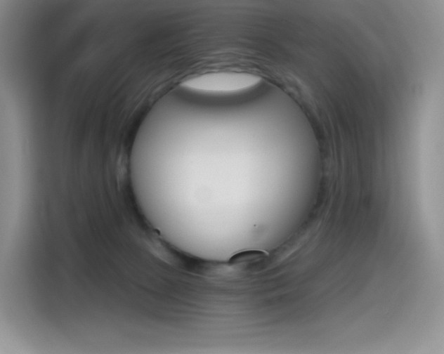 X0000114430081200910161040