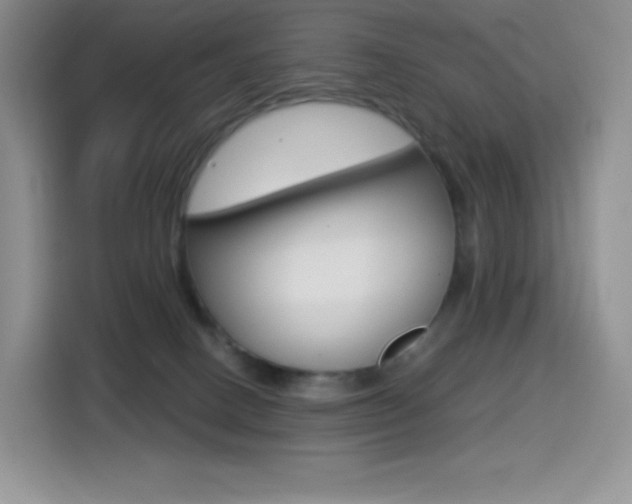 X0000114430082200910161040