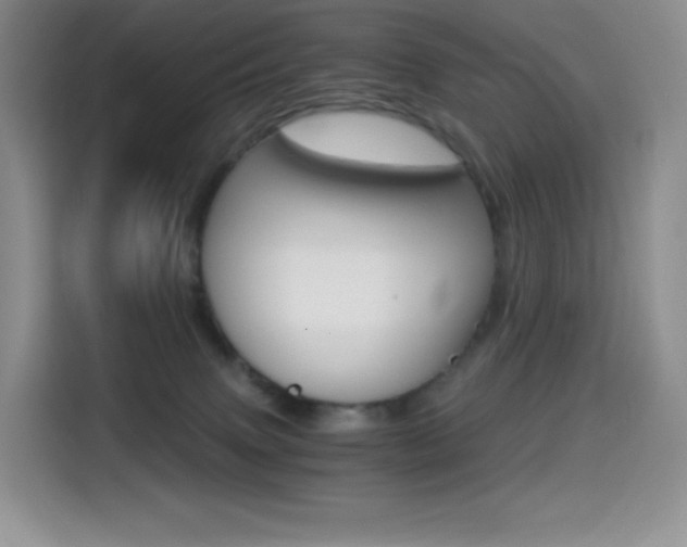 X0000114430083200910161040