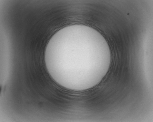 X0000114430084200910161040