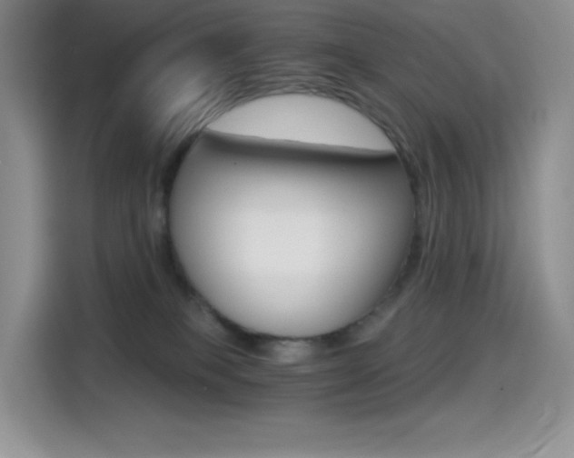 X0000114430085200910161040