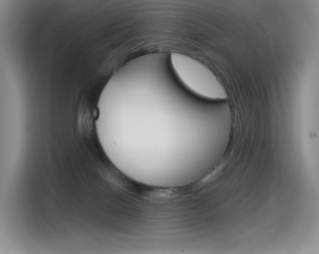 X0000114430086200910161040