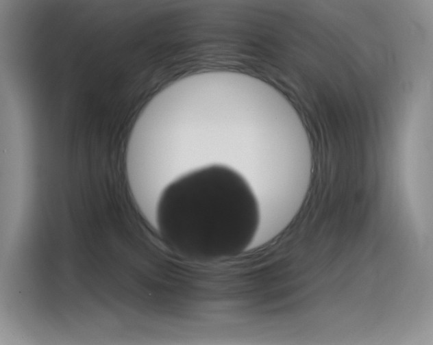 X0000114430087200910161040