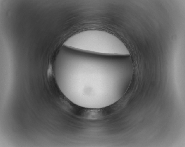 X0000114430089200910161040