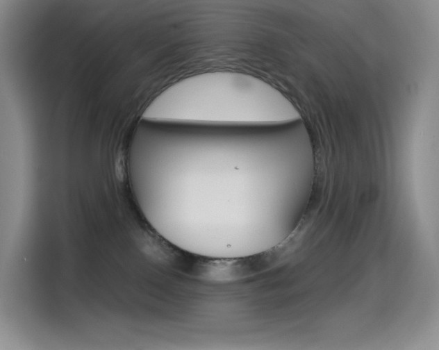 X0000114430090200910161040