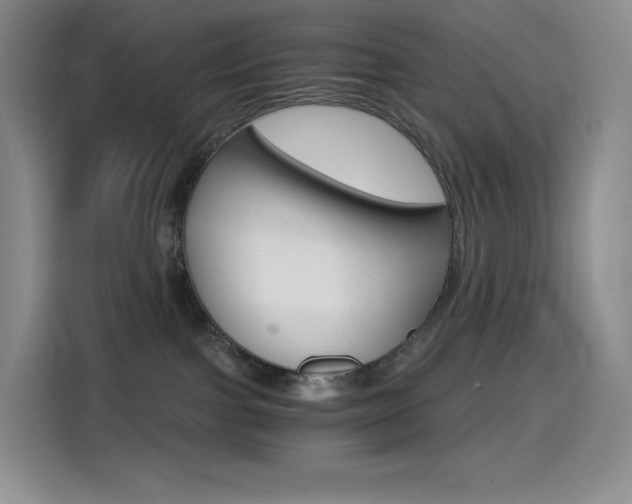 X0000114430091200910161040
