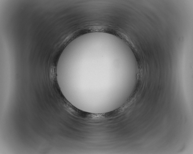 X0000114430093200910161041