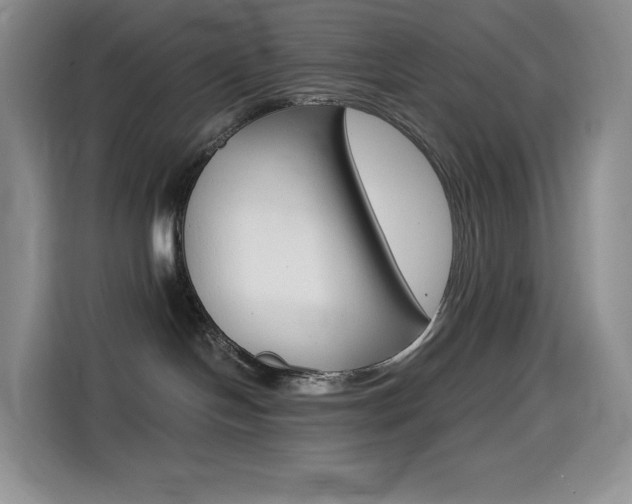 X0000114430094200910161041