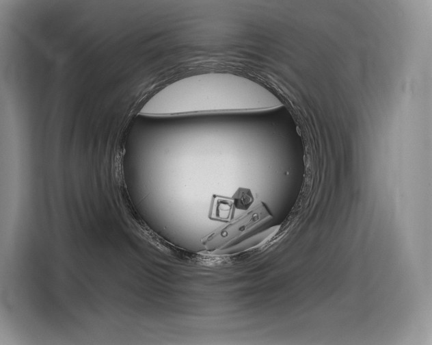 X0000114430096200910161041