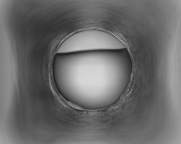 X0000114430097200910161040