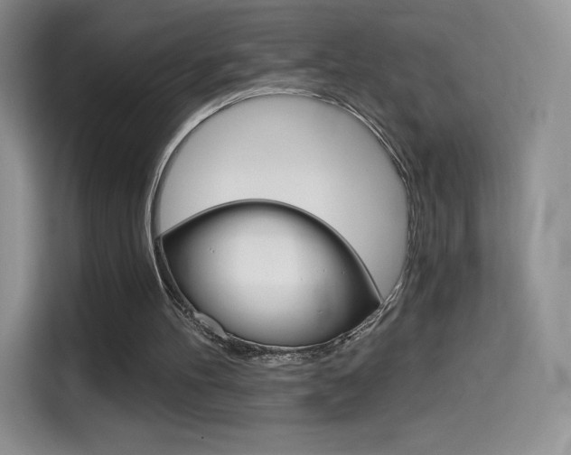 X0000114430100200910161040