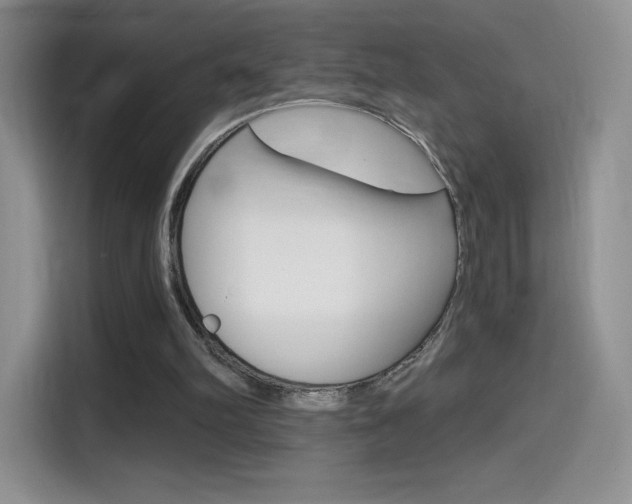 X0000114430102200910161040