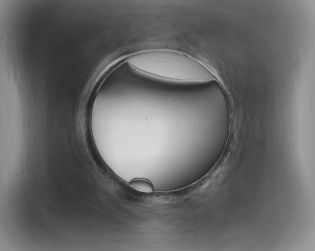 X0000114430103200910161040